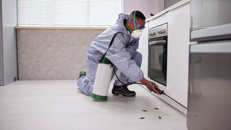 Best Residential Pest Control  in Weston Mills, NY